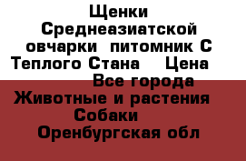 Щенки Среднеазиатской овчарки (питомник С Теплого Стана) › Цена ­ 20 000 - Все города Животные и растения » Собаки   . Оренбургская обл.